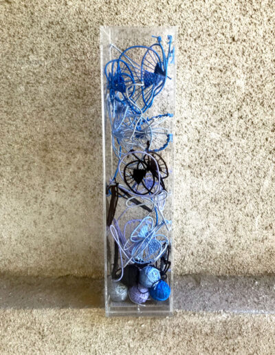 Λεπιδόπτερα (One day cruises)