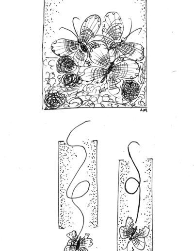 Λεπιδόπτερα (One day cruises)