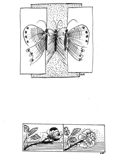 Λεπιδόπτερα (One day cruises)