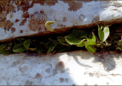Εκπαιδευτική επίσκεψη στο Σούνιο. Λύκειον η Αθηνά.