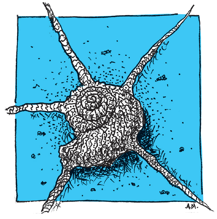 Μαλάκια και Εχινόδερμα (2022)