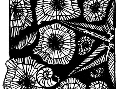 Μαλάκια και Εχινόδερμα.