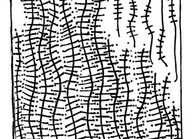 Μαλάκια και Εχινόδερμα.