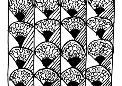 Μαλάκια και Εχινόδερμα.