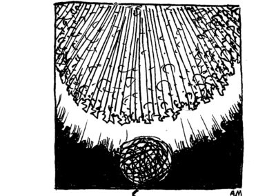 Μαλάκια και Εχινόδερμα.