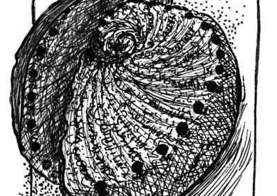 Μαλάκια και Εχινόδερμα.