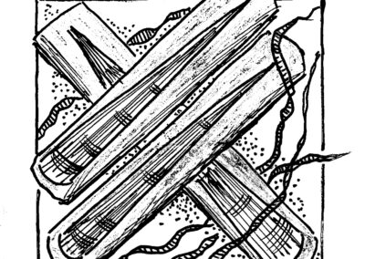 Μαλάκια και Εχινόδερμα.