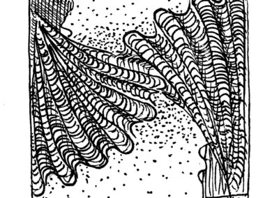 Μαλάκια και Εχινόδερμα.