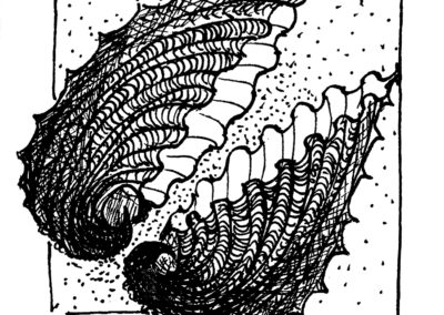 Μαλάκια και Εχινόδερμα.