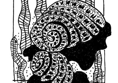 Μαλάκια και Εχινόδερμα.