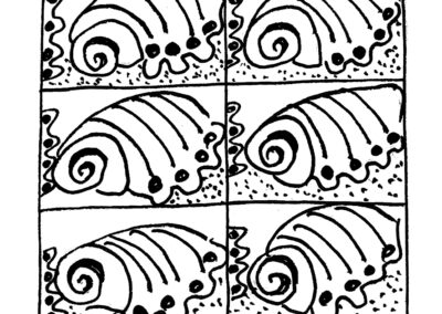 Μαλάκια και Εχινόδερμα.