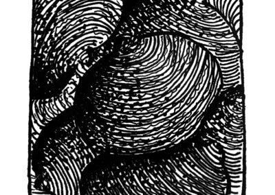 Μαλάκια και Εχινόδερμα.