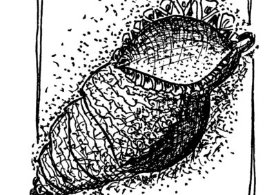 Μαλάκια και Εχινόδερμα.