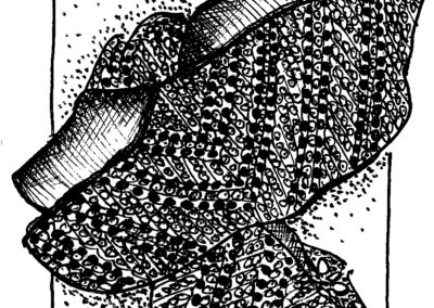 Μαλάκια και Εχινόδερμα.