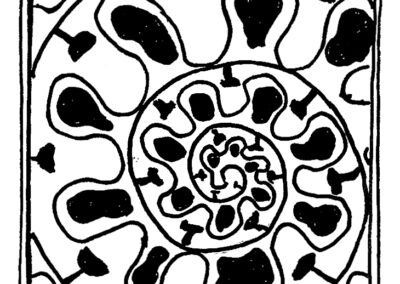 Μαλάκια και Εχινόδερμα.