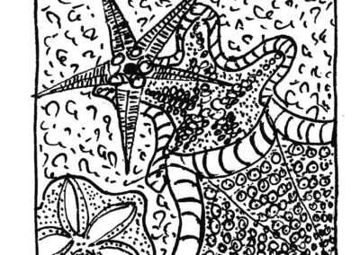 Μαλάκια και Εχινόδερμα.