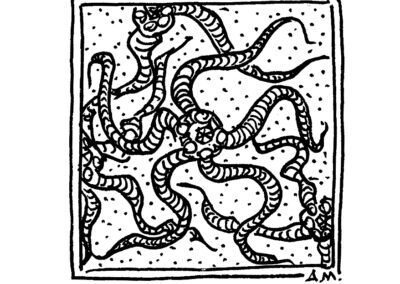 Μαλάκια και Εχινόδερμα.