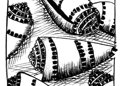 Μαλάκια και Εχινόδερμα.