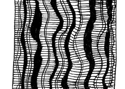 Μαλάκια και Εχινόδερμα.