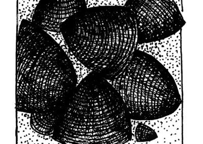 Μαλάκια και Εχινόδερμα.