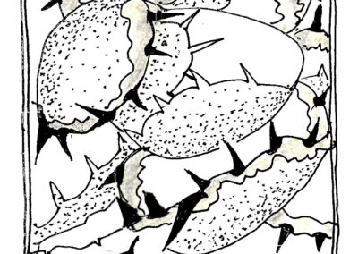 Αναστάσης Αδαμόπουλος. Εικονογράφηση βιβλίου «Αποτυπώματα»