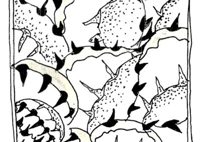 Αναστάσης Αδαμόπουλος. Εικονογράφηση βιβλίου «Αποτυπώματα»