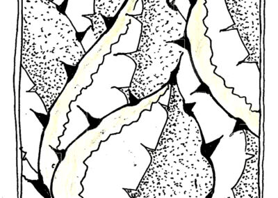 Αναστάσης Αδαμόπουλος. Εικονογράφηση βιβλίου «Αποτυπώματα»