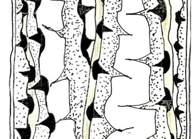 Αναστάσης Αδαμόπουλος. Εικονογράφηση βιβλίου «Αποτυπώματα»