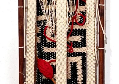 Αναστάσης Μαδαμόπουλος, Ιδέες & Σύμβολα.